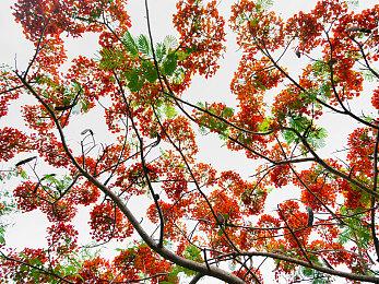 混乱大战！《以撒的结合》在线多人模式演示视频发布